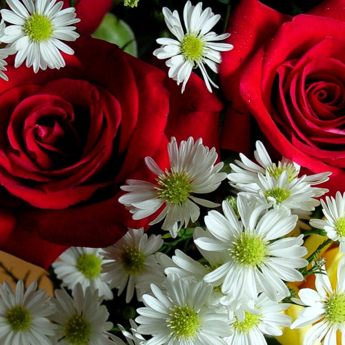 Chris Botti featuring Katharine McPhee [I've Got You Under My Skin]