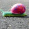 Donna Wetter 1