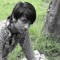 Agniswar Andy Chakraborty