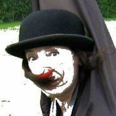 TJ Fool