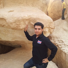 Mohammad AL-Hamadah