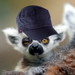 bnoise