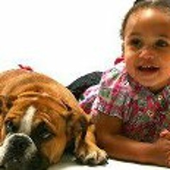 Livnlifeto Thefullest