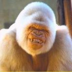 Jorge Alberto Ballesteros