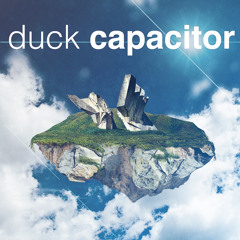 Duck Capacitor