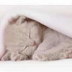 đi ba với hằng nga