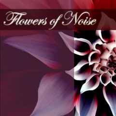 Flowers of Noise