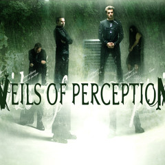 Veils Of Perception