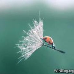 Matthias Matzky Schütze