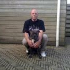 Ronald van der Starre