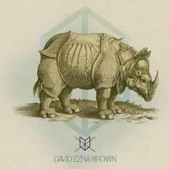 David Ezra Brown