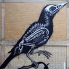 Wysteria's Rook