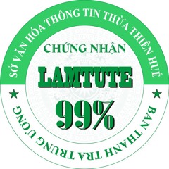Chiec Phao Tinh - Tran Tam