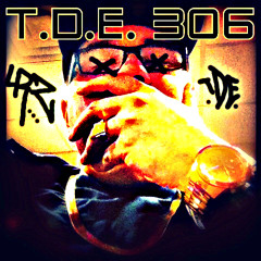 T.D.E.306