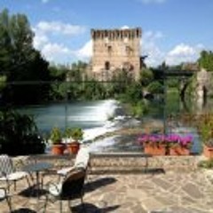 Luiz Alberto Ferriani