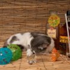 Talmadge Spencer Bradley