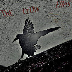 The Crow Flies