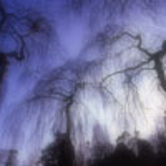 Balcony of Instrumental