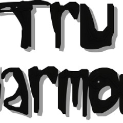 Tru Harmony Acoustic Rock