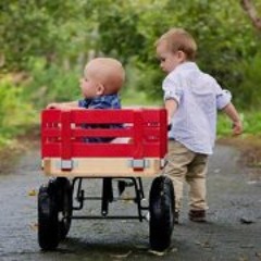 Dana Forsey Loveless