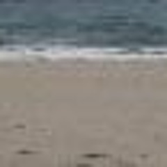 Daniel Maurice Cooper