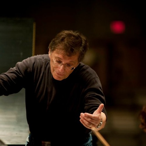 Mozart-Haffner Symphony mvt 4 - Patrick Botti - Waltham Symphony Orchestra