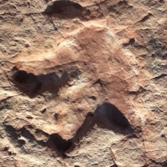 Double Bass Trio no. 2