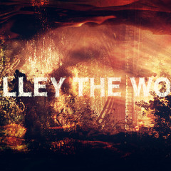 Halley The Wolf