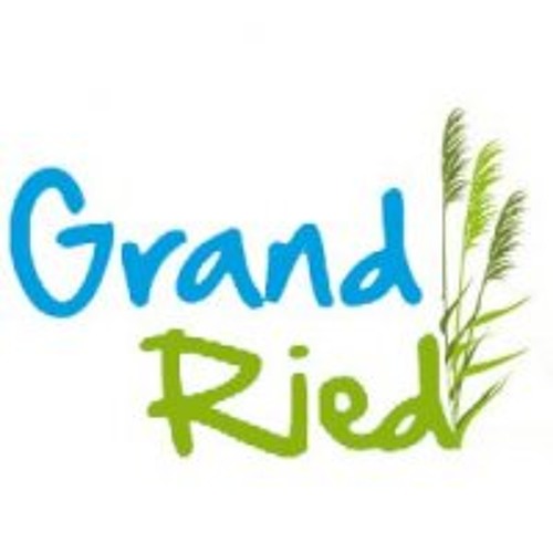 Alsace Le Grand Ried’s avatar