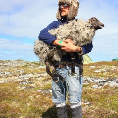 romanjanosernestfridtjof