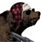bearskinrug