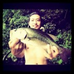 Toshiya Maekawa