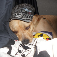 Fucking_Policie/remix by systemfucker23/Austria