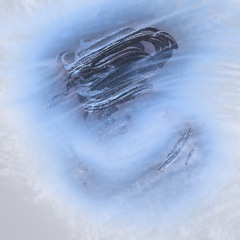 Fabrice Flore-Thébault