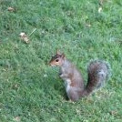 Raquel Acitores Bermejo