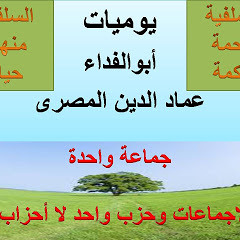 عماد الدين بن عبد العزيز السلفي