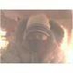 Chubb Teamjpbtv Brown