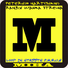 Microphone Controller