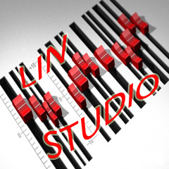 lin studio's
