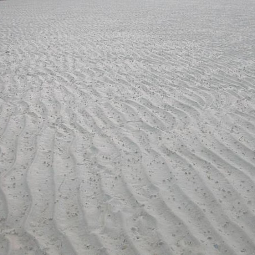 Stream hiddenbeach music Listen to songs, albums, playlists for free