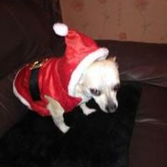 Stephanie Murray Redmond