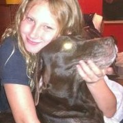 sillydoglover