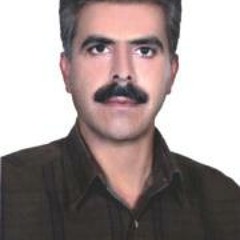 Jamshid Shah Mohammadi