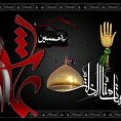 كربلا شمسي - باسم الكربلائي 1435