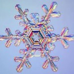 Claire Zuzu Thompson