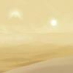 Alexandra Wesolowski