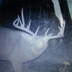 Christopher Simpson 7