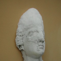 sensibile alle foglie