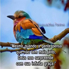 A melhor coisa que eu já fiz