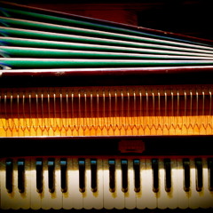 Jackie Ziter Sedlock